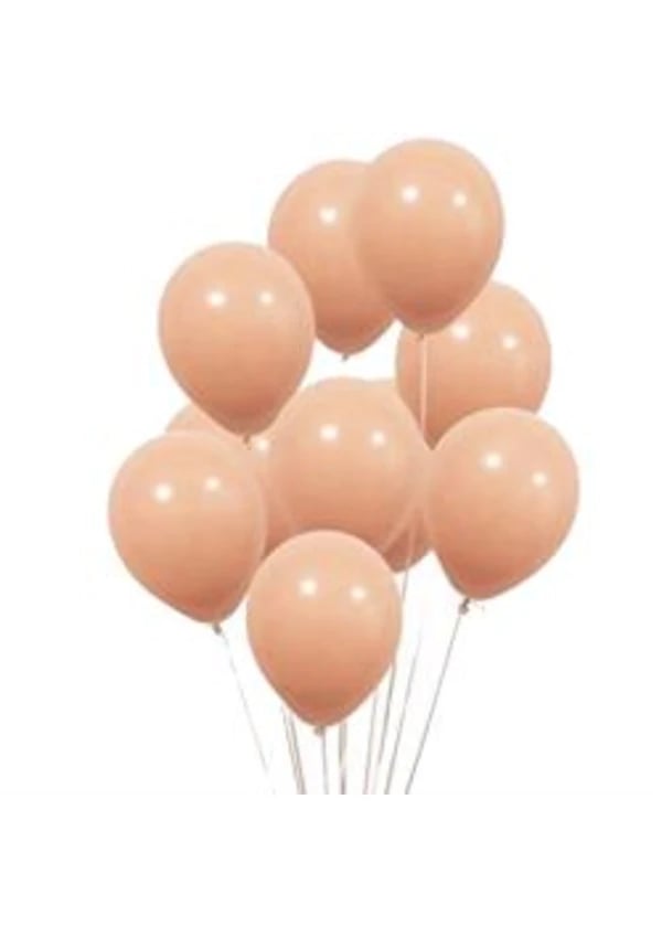 Makaron Somon Balon 10'lu Paket - Gorsel 1