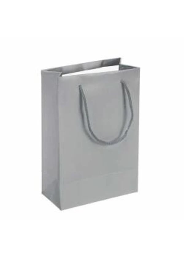 Mat Gümüş Karton Çanta 12x17cm 25ad. - Gorsel 1